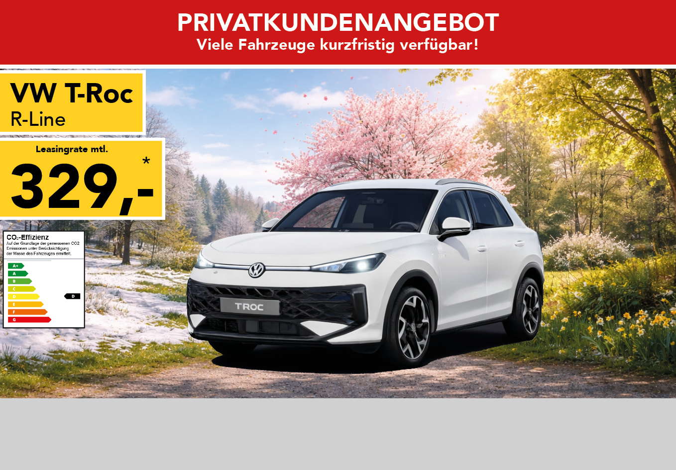 VW T-Roc R-Line 1.5 eTSI DSG